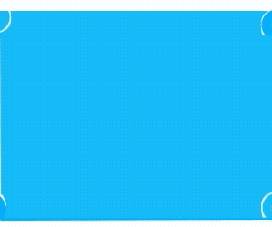 300x250